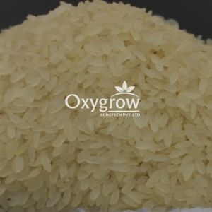 Swarna Non Basmati Rice