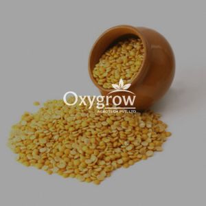 Hard Organic Toor Dal, Certification : FSSAI Certified for Cooking