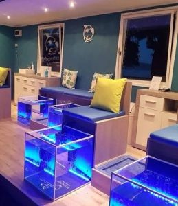 Glass Or Acrylic 1 Seater Fish Spa Setup