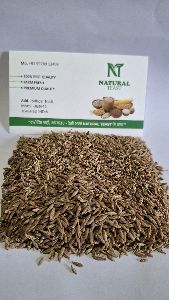 cumin seeds