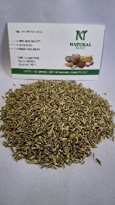 Green Natural Teast Fennel Seeds, Packaging Size : 30 Kg Food Grade