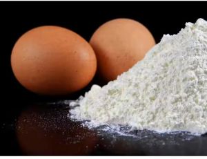 Egg White Powder