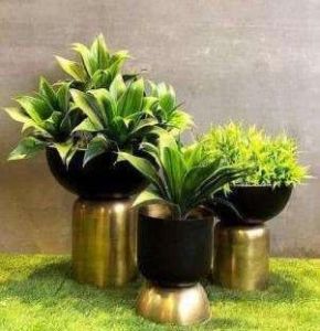 Golden Base Cylindrical Iron Planter Stand