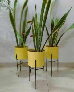Yellow Cylindrical Iron Planter Stand