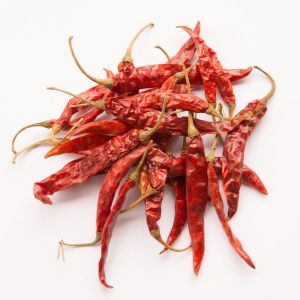 Mathania Dried Red Chilli, Packaging Type : Plastic Packet