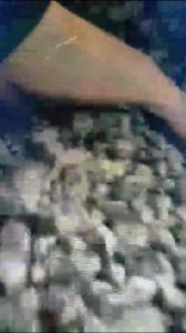 PET Coke, Color : Black, Packaging Size : Bulk Loose