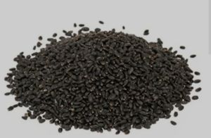 Organic Brown Basil Seeds, Seed Type : Natural