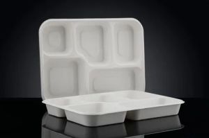 5 CP Disposable Bagasse Meal Tray, Color : Natural White