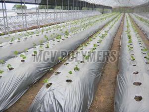 LLDPE Mulching Film Roll