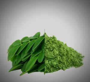 organic moringa powder