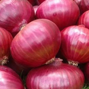Fresh Red Onion, Cultivation Type : Organic for Cooking