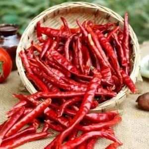 Teja Dried Red Chilli