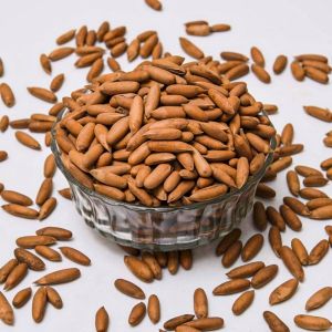 Dried Pine Nuts for Cooking, Snacking, Packaging Type : Brown