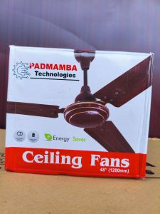 electric ceiling fan