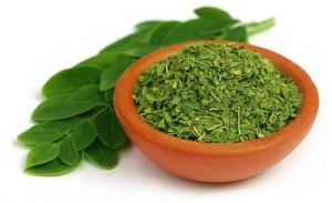 Powder Natural Moringa Dried Leaves, Color : Green