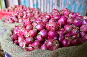 Red Small Onion, Packaging Size : 10Kg, 25Kg Gunny Bag, Net Bag
