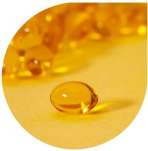 Industrial Grade Fish Oil, Color : Yellow, Packaging Type : Drums