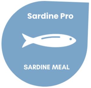 Sardine Pro Fish Meal