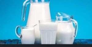 Buffalo Milk, Color : Pure White, Packaging Type : Tin