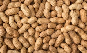 Shelled Groundnuts