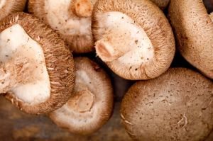 Natural Shiitake Mushrooms