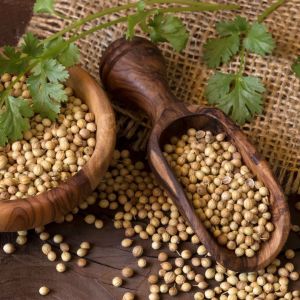 coriander seeds