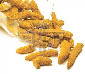 Yellow Turmeric Finger, Packaging Size : 25-50kg Food Grade