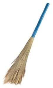 Broom Grass