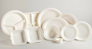 The Brilliance sugarcane bagasse plate, Packaging Type : Box