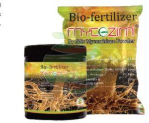 Prolific Mycorrhizae Powder