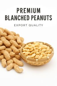 Common Blanched Peanuts, Packaging Type : Plastic Packets, PP Bag