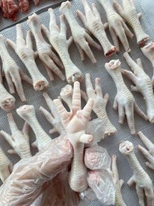 Chicken Paw Chicken Paw