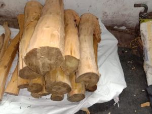white sandalwood
