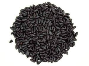 Natural Black Paddy Seeds, Packaging Size : 25-50kg