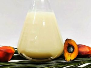 Hydrogenated Palm Stearin