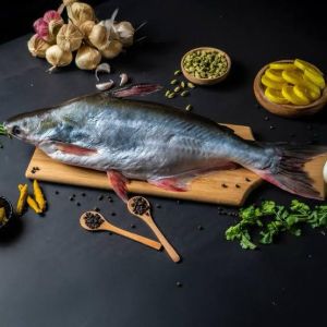 Basa Fish for Cooking