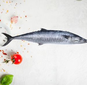 Fresh King Fish, Packaging Type : Thermacol Box for Cooking