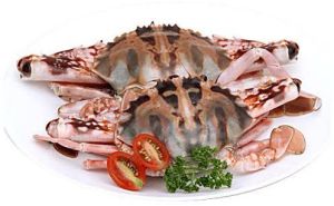 Fresh Red Crab