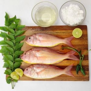 Fresh Sea Pink Perch Fish, Packaging Type : Thermocol Box