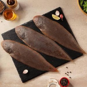 Fresh Sea Sole Fish