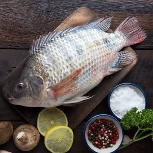 Tilapia Fish