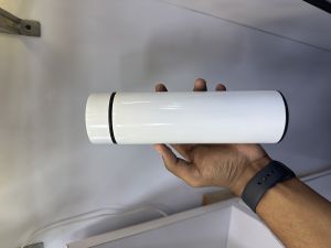 Stainless Steel Temperature Water Bottle