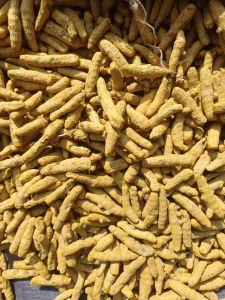 nizam turmeric finger
