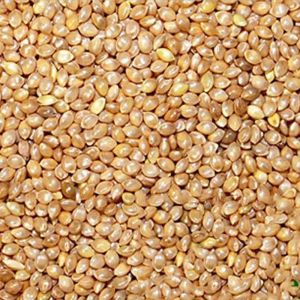 Organic Barnyard Millets, Seed Type : Natural, Grade : Feed Grade