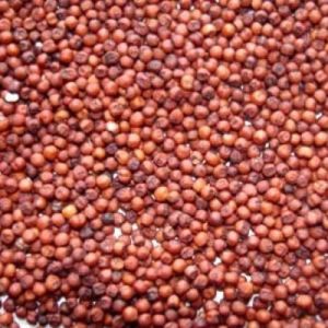 Organic Finger Millets, Seed Type : Natural, Grade : Feed Grade