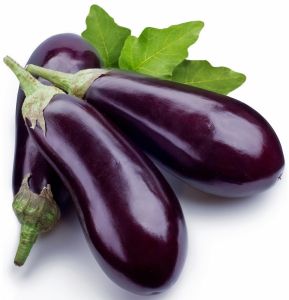 Purple Fresh Brinjal, Cultivation Type : Organic for Cooking