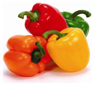 Fresh Capsicum, Cultivation Type : Organic for Cooking