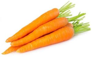 Fresh Carrot, Color : Orange for Cooking