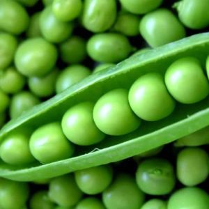 Fresh Green Peas, Cultivation Type : Organic for Cooking