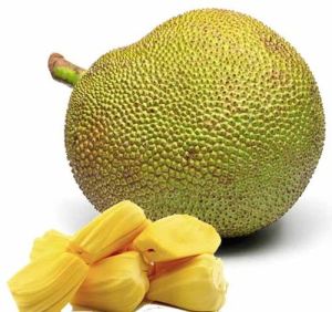Fresh Jackfruit